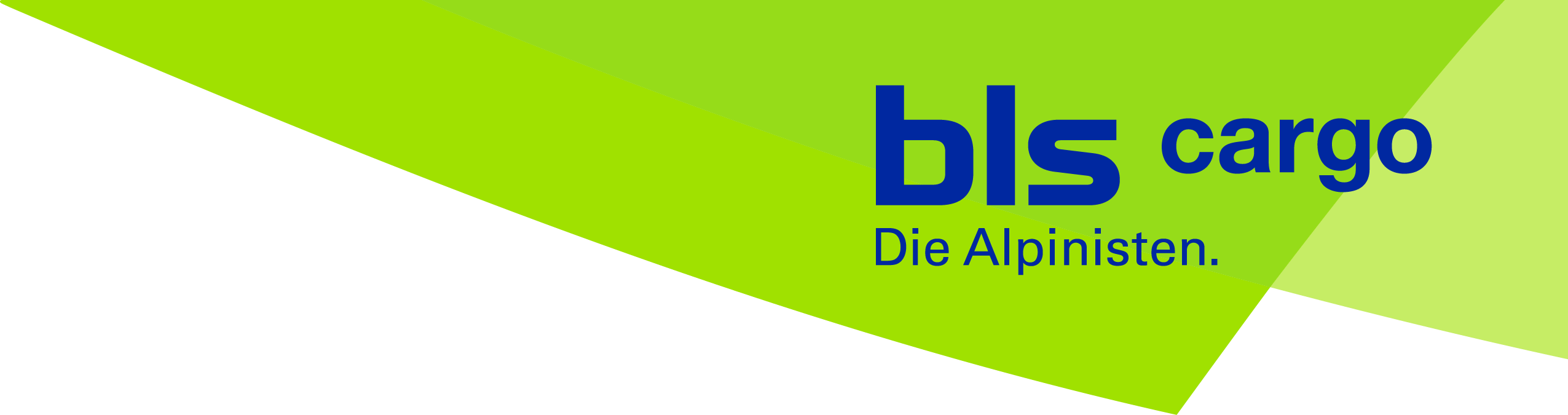 Logo BLSCARGO